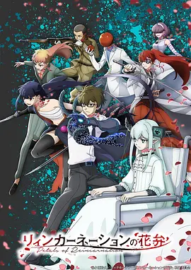 波兰球动画大全国语版-大航海时代